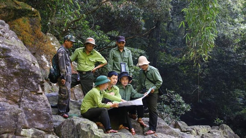 Ban điều hành Quỹ Bảo vệ và Phát triển rừng tỉnh đã nghiêm túc triển khai các nhiệm vụ được giao.