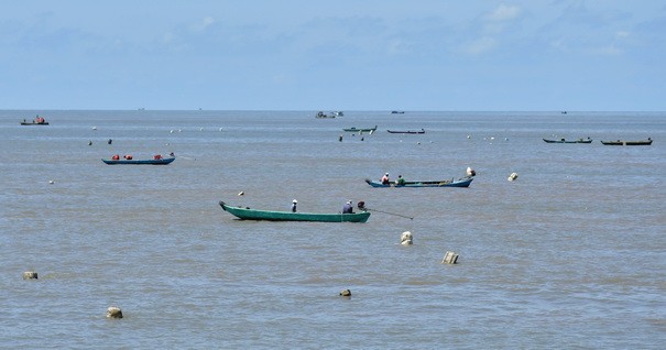 Hàng nghìn thuyền đánh cá ven bờ cản trở Cà Mau ứng phó thiên tai 