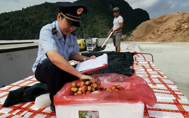 Cửa khẩu tỉnh Lạng Sơn đang "ưu tiên" cho nông sản từ các địa phương vùng dịch như: Bắc Giang, Hưng Yên... (Ảnh minh họa: VGP)