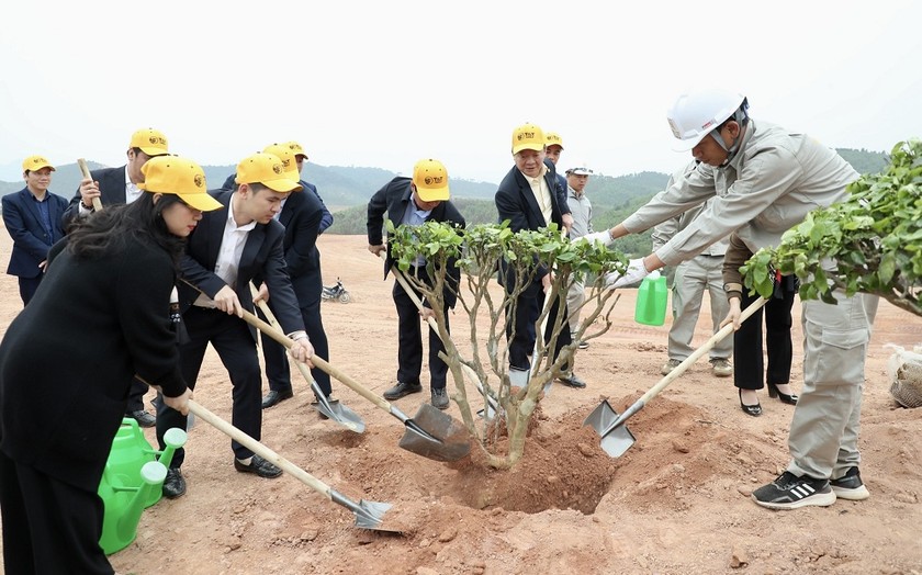 Lãnh đạo tỉnh Phú Thọ cùng ông Đỗ Quang Hiển - Chủ tịch Ủy ban Chiến lược Tập đoàn T&T Group, ông Đỗ Vinh Quang - Chủ tịch CLB bóng đá Hà Nội và các đại biểu tham gia trồng cây.