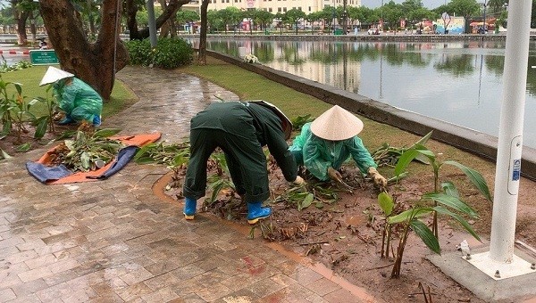 Nhiều công nhân đội mưa để thu gom cây, hoa bị dẫm nát sau đêm khai trương phố đi bộ Bạch Đằng