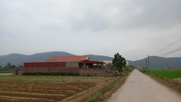 Nhiều công trình kiên cố được xây dựng trên đất của Công ty CP Cá giống Kinh Môn.