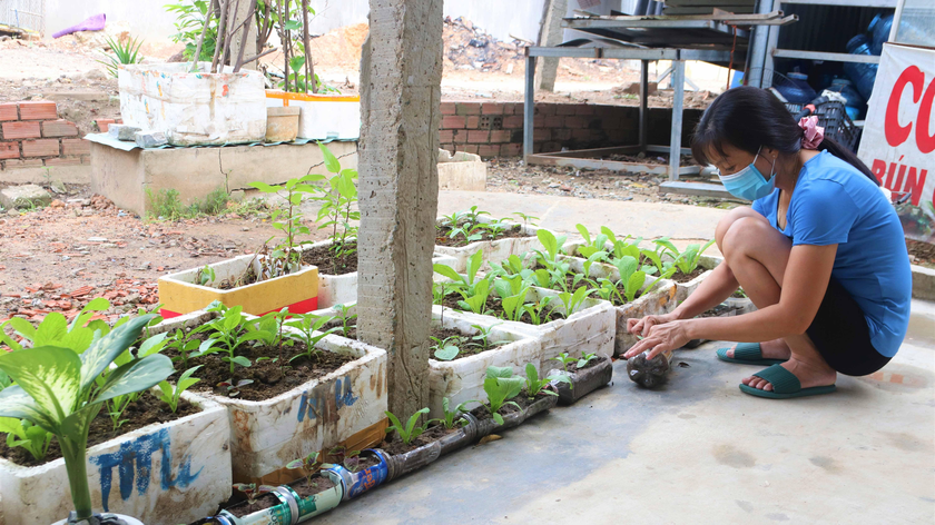 Tận dụng khoảng thời gian trống để trồng rau trong những chai nhựa tái chế và thùng xốp.