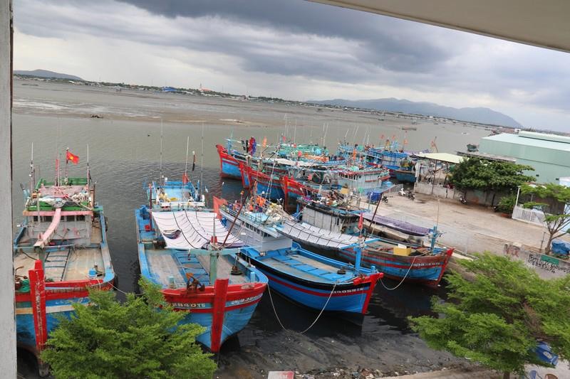 Tàu cập cảng cá Phước Tỉnh (huyện Long Điền).