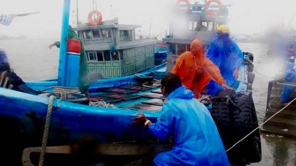 Quảng Nam khẩn trương chống bão số 5, cứu hộ tàu cá vào bờ an toàn