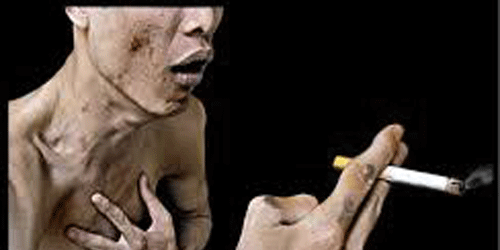 Hút một điếu thuốc đồng nghĩa hút 7.000 chất độc hại vào cơ thể