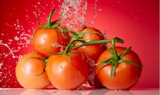 Những điều thú vị về cà chua