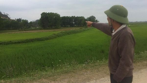Dự án lò giết mổ gia súc gia cầm tập trung dự tính được xây dựng tại đồng Hói Cháng, thôn Quyết Thắng.