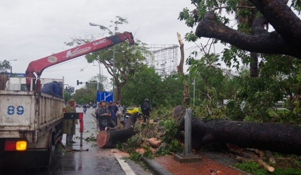 Lực lượng vũ trang cùng chính quyền địa phương và người dân thu dọn cây bị ngã đổ do bão.
