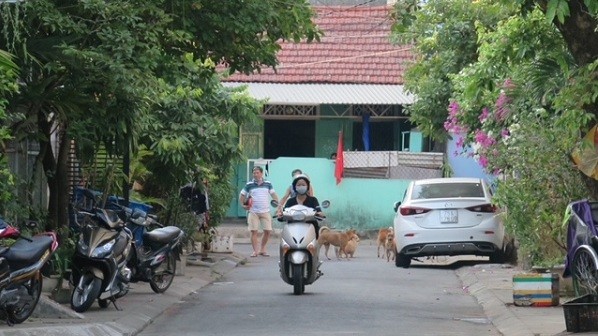 Chó thả rông trong khu dân cư trên đường Tuệ Tĩnh (TP Huế).