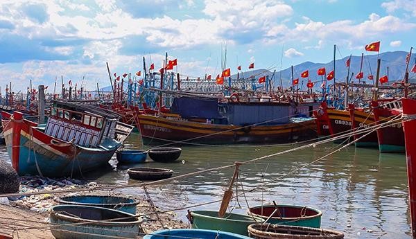 Hàng loạt tàu cá tại xã Cảnh Dương - Lá cờ đầu trong nghề đi biển của tỉnh Quảng Bình đang 'mắc cạn' do ra khơi thua lỗ.