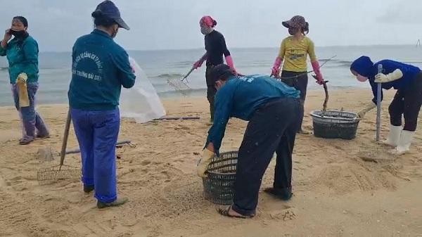 Công nhân môi trường biển triển khaii thu gom các vệt dầu loang trôi dạt vào dọc bờ biển TP Đồng Hới.