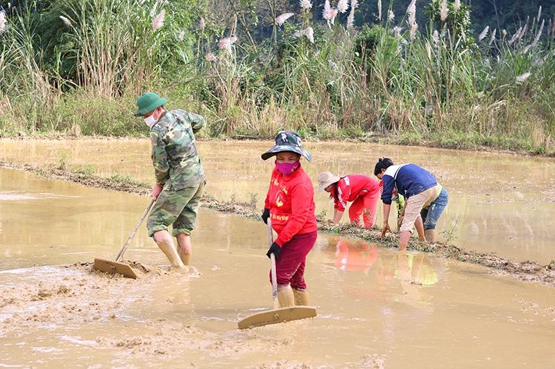 Cán bộ chiến sỹ Đồn Biên phòng Cà Xèng cùng người dân canh tác lúa nước trên cánh đồng Rục Làn.
