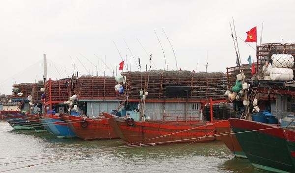 Hàng loạt tàu cá ở các làng biển Quảng Bình nằm bờ vì giá xăng dầu leo thang.
