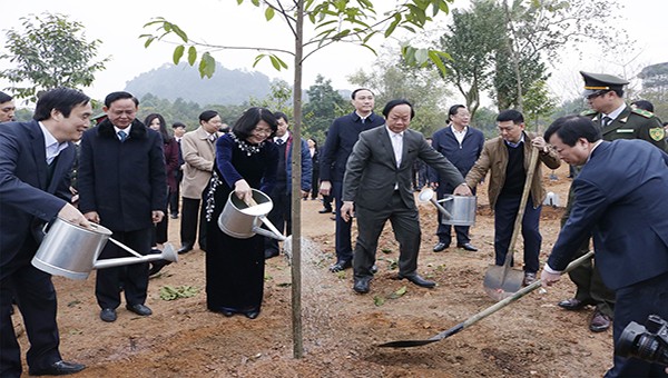 Phó Chủ tịch nước phát động Tết trồng cây tại Khu di tích lịch sử Đền Hùng 