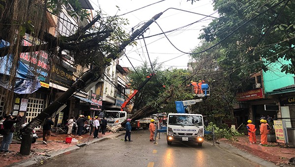 Cột điện gãy đổ do cây xanh bị gió lốc làm gãy đè vào đường dây điện ở thành phố Cao Bằng.