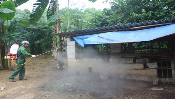 Phun thuốc khử trùng tại địa bàn dịch tả lợn châu Phi tái bùng phát ở Trùng Khánh