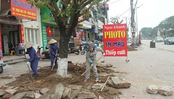 Cải tạo hệ thống cây xanh tại một số tuyến đường của TP Bắc Giang.
