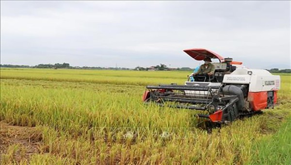 Áp dụng khoa học – công nghệ tiên tiến trong sản xuất nông nghiệp tại Thái Nguyên.