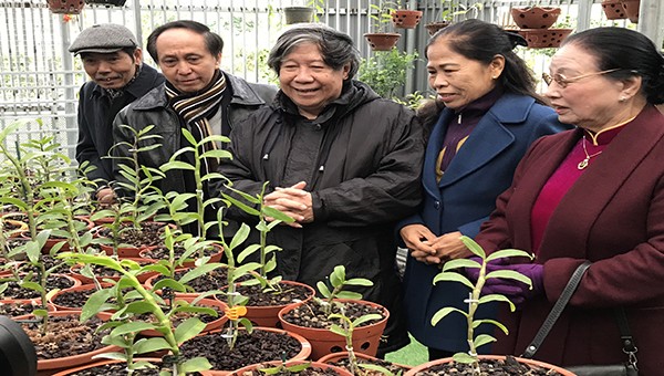 GS Sử học Lê Văn Lan và đại diện tổ dân phố Yên Phúc (Phúc La - Hà Đông) thăm quan vườn lan.
