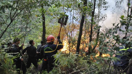 Cảnh báo nguy cơ cháy rừng cấp cực kỳ nguy hiểm tại Bắc Giang