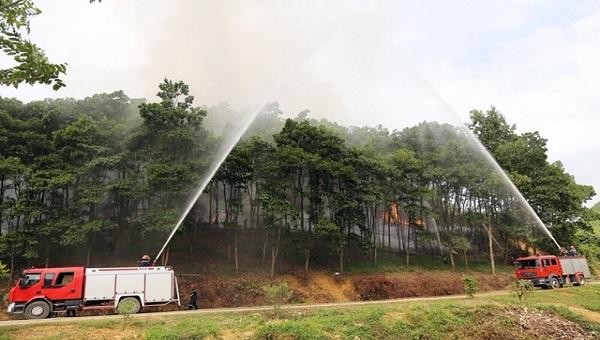 Huyện Thanh Sơn tổ chức diễn tập phòng cháy chữa cháy rừng. Ảnh: Phương Thanh