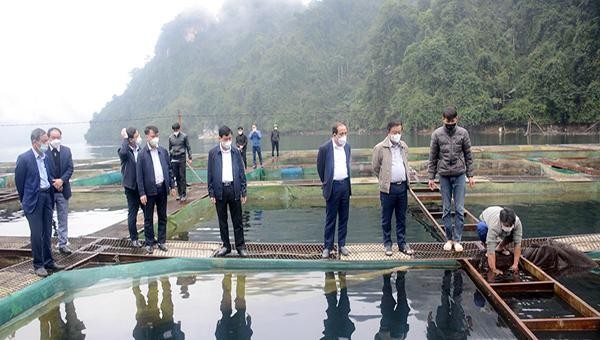 Bộ trưởng Bộ Nông nghiệp và Phát triển nông thôn Lê Minh Hoan khảo sát mô hình nuôi cá lồng đặc sản tại huyện Lâm Bình