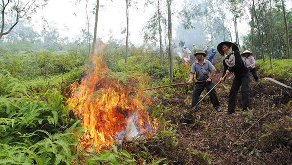 Người dân Bắc Giang tham gia diễn tập chữa cháy rừng