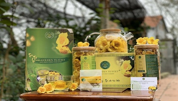 Trà hoa vàng Tam Đảo mang thương hiệu đặc trưng của địa phương