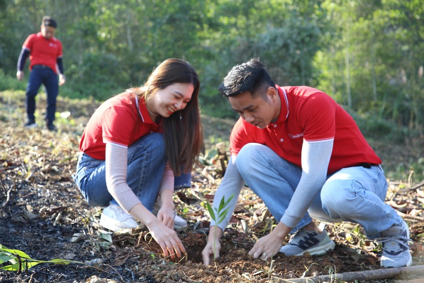 SeABank tiếp tục phủ xanh 3ha rừng phòng hộ tại Thanh Hóa, hướng tới phát triển bền vững (Ảnh: Lê Hanh) 