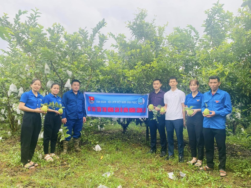 Tuổi trẻ Vĩnh Phúc hỗ trợ kết nối tiêu thụ nông sản cho xã Đôn Nhân, huyện Sông Lô