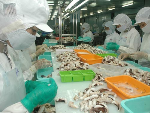 Xuất khẩu nhóm hàng mực và bạch tuộc năm nay tăng trưởng mạnh, trên 55%. Ảnh minh họa