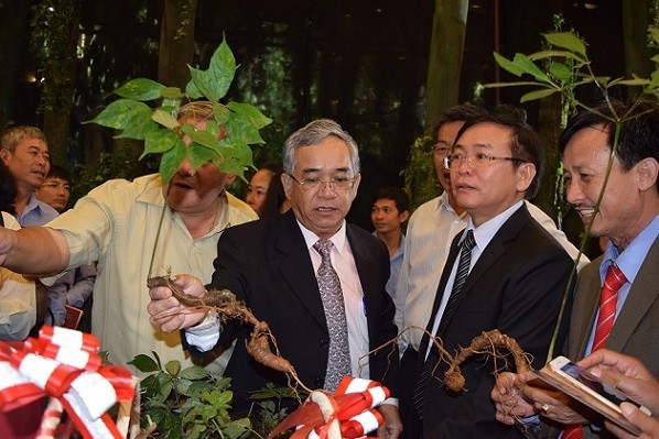 Các đại biểu tham quan các gian hàng trưng bày sản phẩm sâm Ngọc Linh Kon Tum 