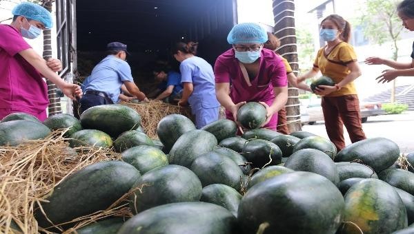 Những xe "giải cứu" chở dưa hấu về Hà Nội được cộng đồng chung tay giúp đỡ với giá phi lợi nhuận.