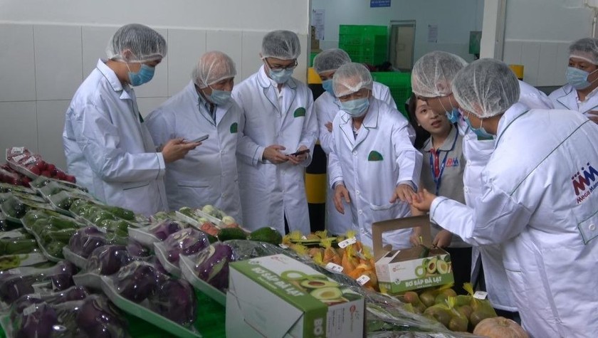 Thương vụ Việt Nam tại Singapore tổ chức Đoàn các nhà nhập khẩu rau củ quả vào Việt Nam kết nối tìm nguồn cung.