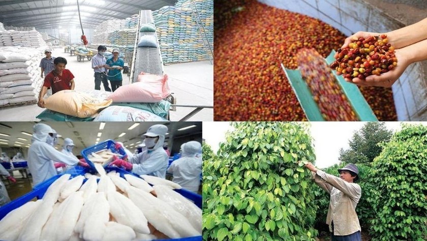 Bộ Công Thương mở rộng cơ hội tiếp cận thị trường Nhật Bản cho nông sản, thực phẩm, sản phẩm y tế Việt Nam.