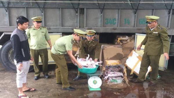 Lực lượng QTLL Hà Tĩnh bắt giữ số thịt chó, mèo được giết mổ bốc mùi hôi thối.