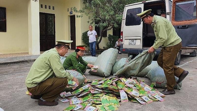 Lạng Sơn thu giữ trên 13.000 gói hạt giống rau, quả nhập lậu