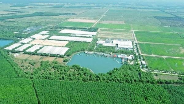Không chỉ gây ấn tượng với quy mô lớn và sự hiện đại, trang trại của Vinamilk tại Tây Ninh còn được biết đến với không gian xanh mát, lý tưởng như resort.