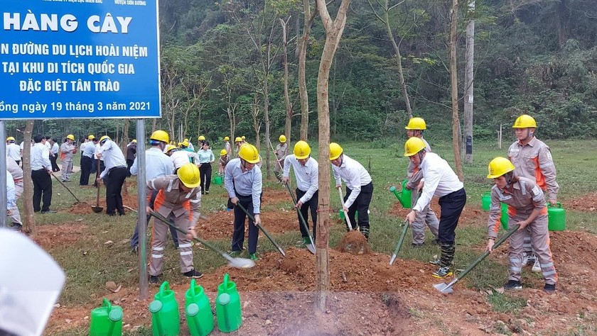 Lãnh đạo Tập đoàn điện lực Việt Nam và Tổng công ty Điện lực miền Bắc trồng cây tại Tuyên Quang.