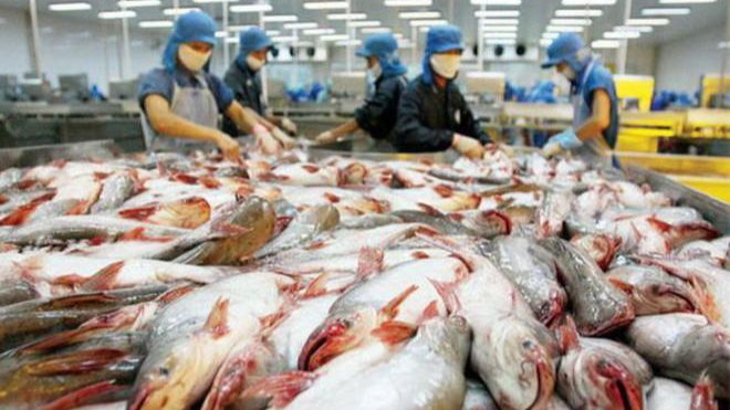 Với việc thêm 6 nhà máy được vào danh sách chế biến, XK cá tra sang Mỹ sẽ giúp XK cá tra Việt Nam sang thị trường này tăng thêm trong thời gian tới.