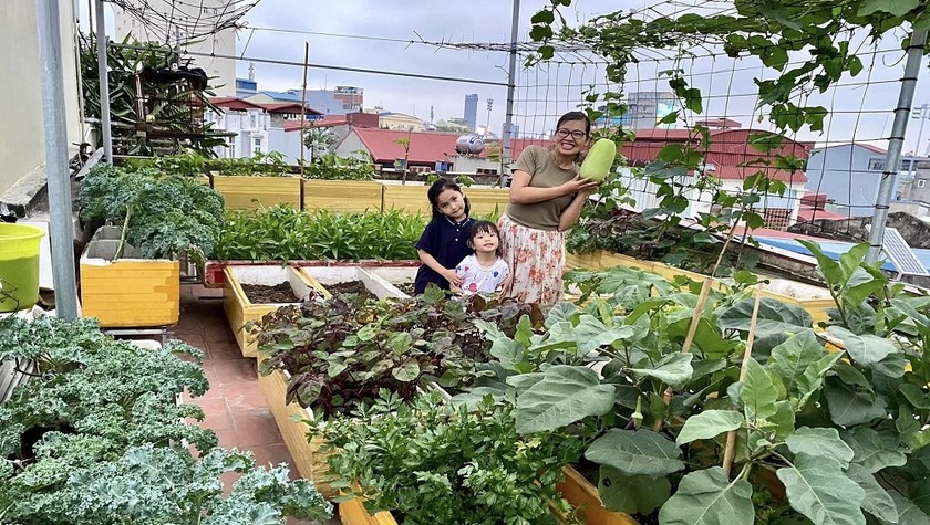 Chị Thơm và các con thu hoạch rau củ quả trên sân vườn nhà mình.
