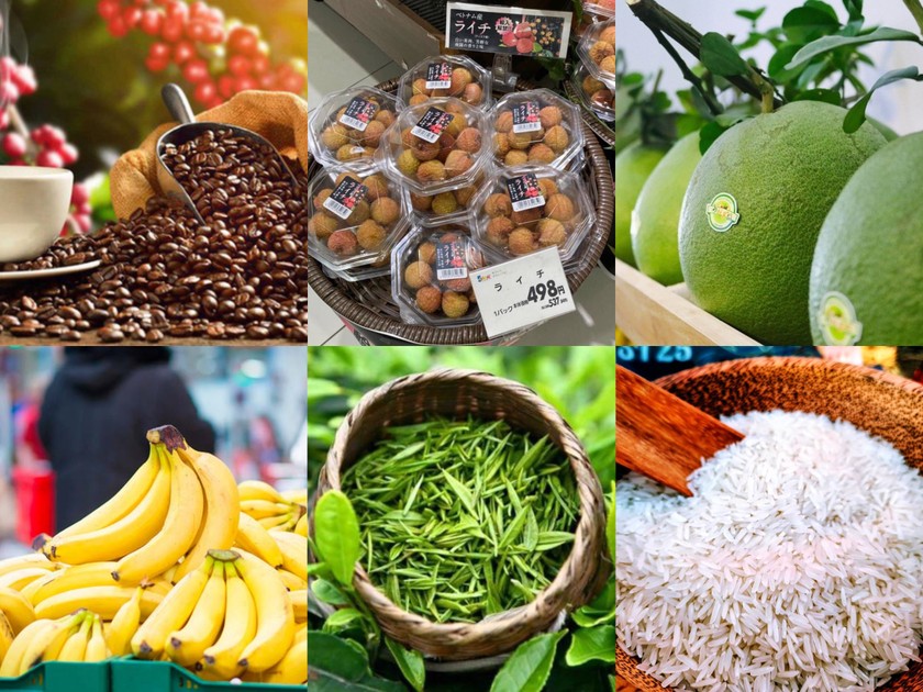 Ngày càng có thêm nhiều nông sản mang thương hiệu Việt được thế giới biết đến và ưa chuộng.