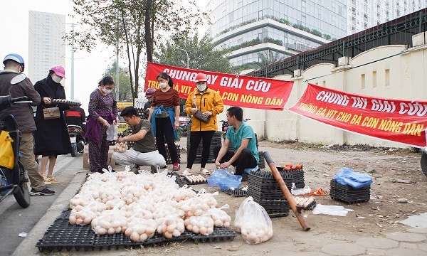 Trong thời gian gần đây, trứng gà gắn mác "giải cứu" bán tràn lan trên các vỉa hè Hà Nội.