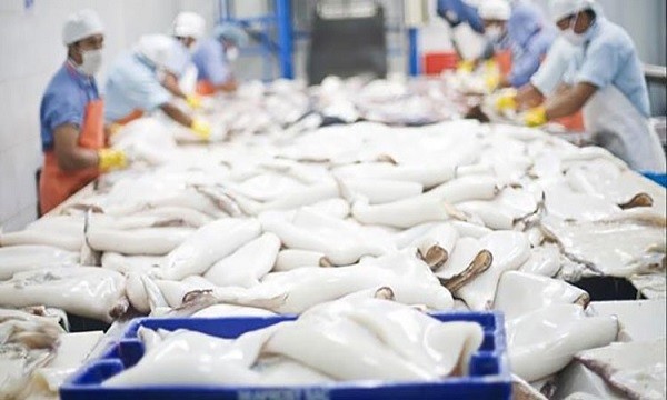 Hàn Quốc, Nhật Bản là 2 thị trường nhập khẩu mực, bạch tuộc lớn nhất của Việt Nam.