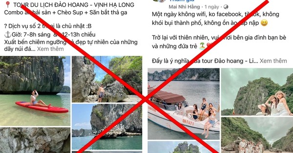 Thời gian gần đây trên các trang mạng xã hội xuất hiện nhiều quảng cáo về việc thuê tàu thuyền thực hiện các tour du lịch tự phát đến các đảo chưa được phép khai thác du lịch ở Vịnh Hạ Long.