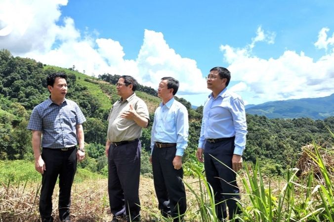 Thủ tướng Phạm Minh Chính đã đi thăm mô hình trồng sâm dưới tán rừng tại vườn Sâm Ngọc Linh - (Ảnh: VOV )