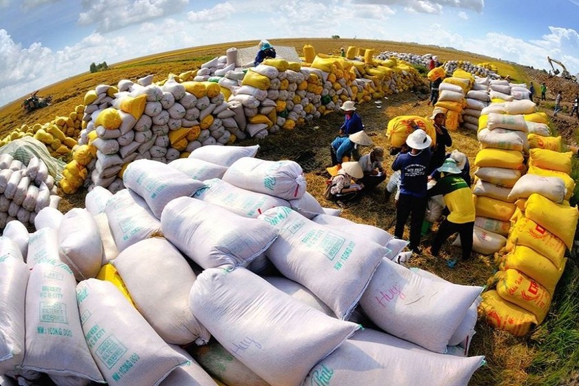 VFA kiến nghị bổ sung quy định giá sàn xuất khẩu gạo. (Ảnh: Internet)