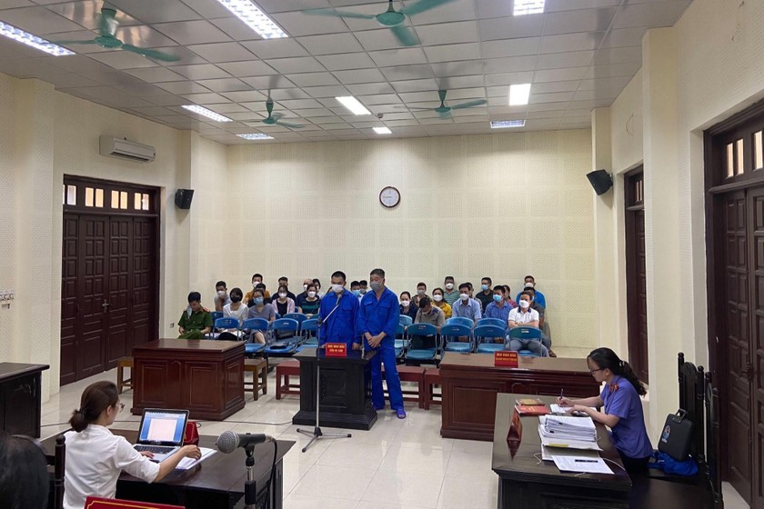 TAND thành phố Cẩm Phả tuyên phạt 10 năm 6 tháng tù đối tượng vận chuyển 33 cá thể rùa đầu to và 3 cá thể rùa hộp trán vàng miền Bắc. (Ảnh: ENV).