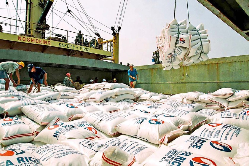 Việt Nam cần bảo đảm chất lượng, giữ vững ngôi vị xuất khẩu gạo số 1 tại thị trường lớn. (Ảnh: TTXVN).